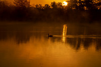Oldham Pond Sunrise 2017