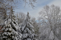 DSC_0491 Winter in Hanson