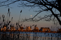 DSC_0913-Scituate