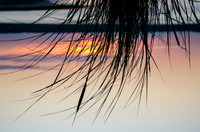 Seascapes