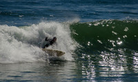 Surfer - Hull, MA