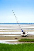 DSC_0685-c