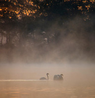 Sunrise on Oldham Pond 2017