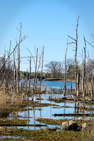 World's End, Hingham, MA