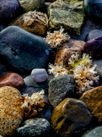Beach Rocks