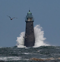 Minot Splash with Seagull, Scituate, MA